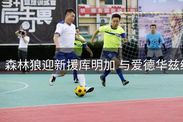 森林狼迎新援库明加 与爱德华兹组强力锋线阵容