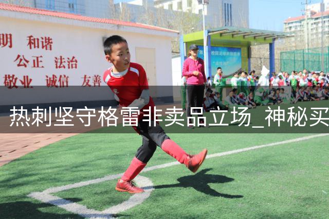 热刺坚守格雷非卖品立场 神秘买家求购遭拒